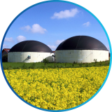 BIOGAS INSTALLATIES